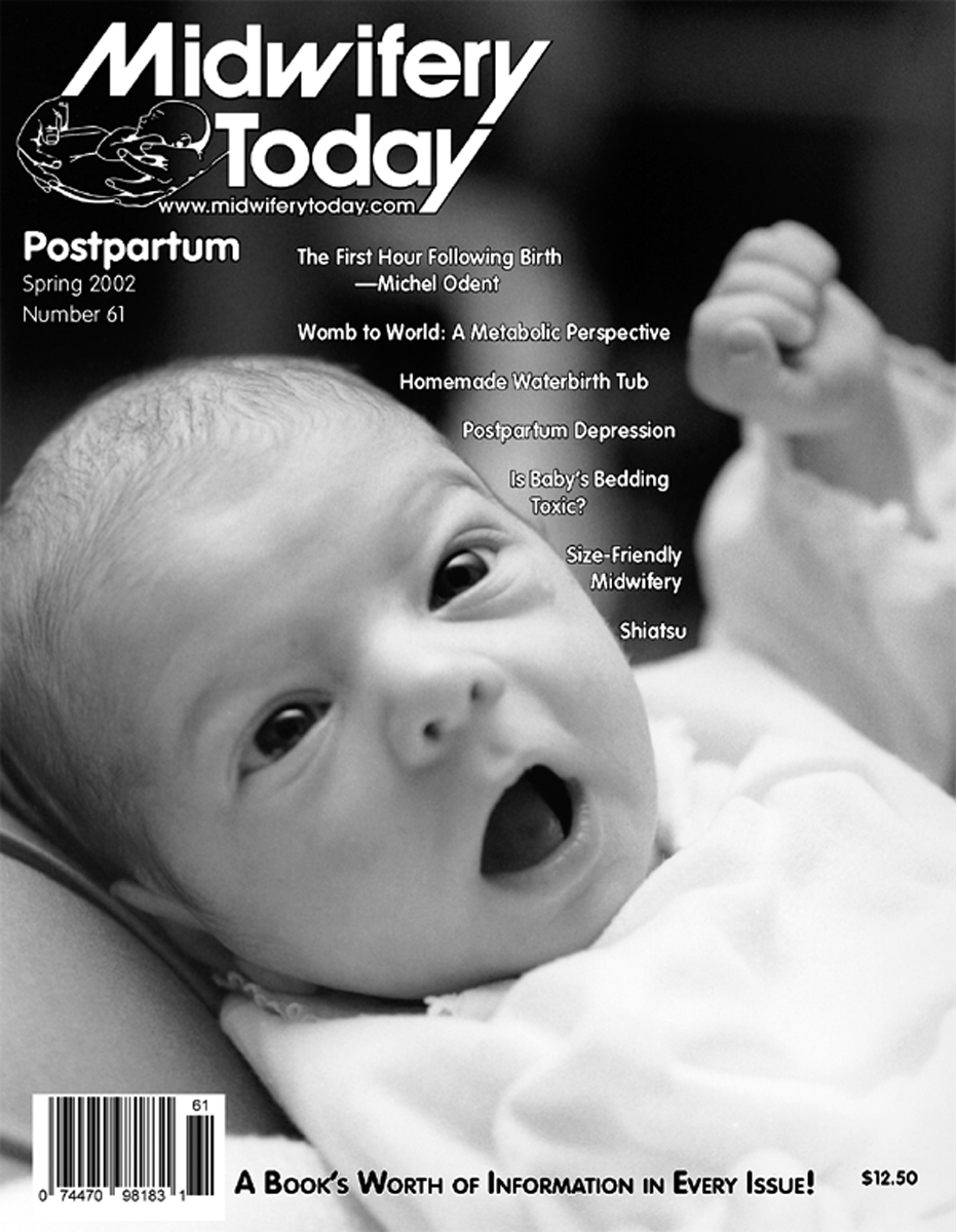 Midwifery Today Issue 61