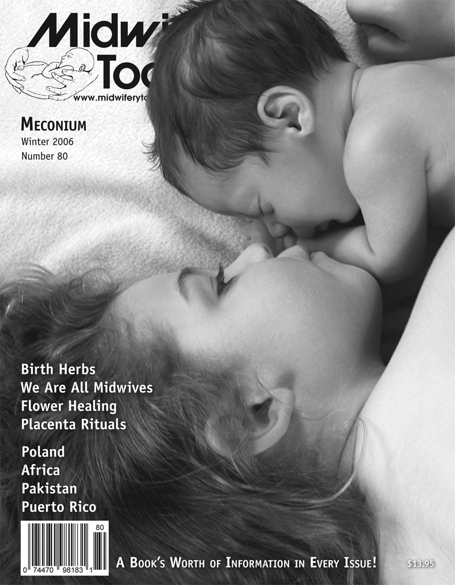 Midwifery Today Issue 80