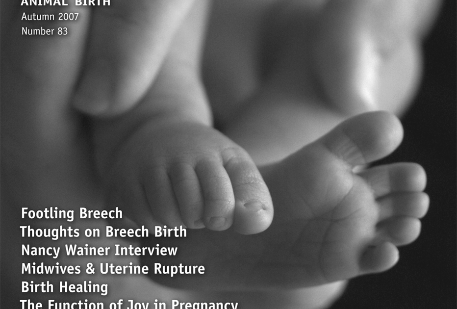 Midwifery Today Issue 83