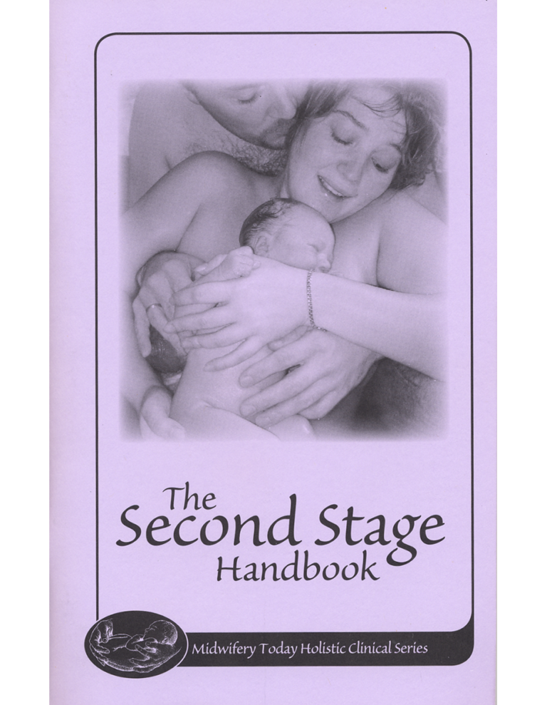 The Second Stage Handbook