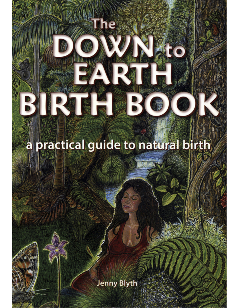 The Down To Earth Birth Book