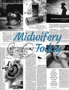 Midwifery Today Individual Articles